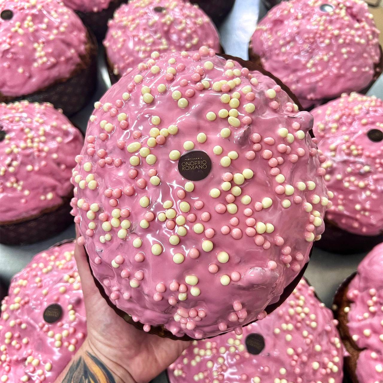 PANETTONE BOSCO INTEGRALE - con glassa al cioccolato puro e frutti di bosco disidratati 