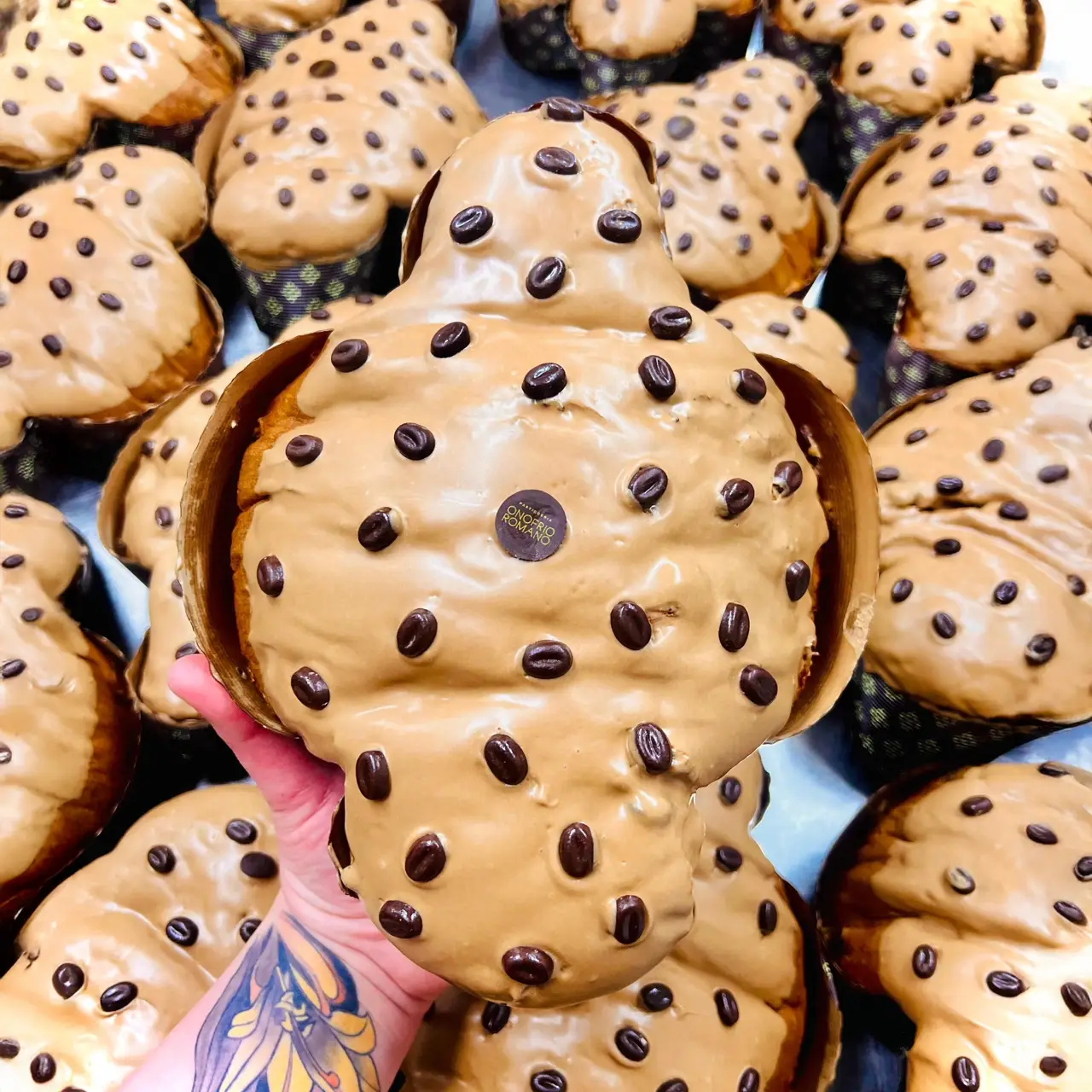 NAPOLI - COLOMBA