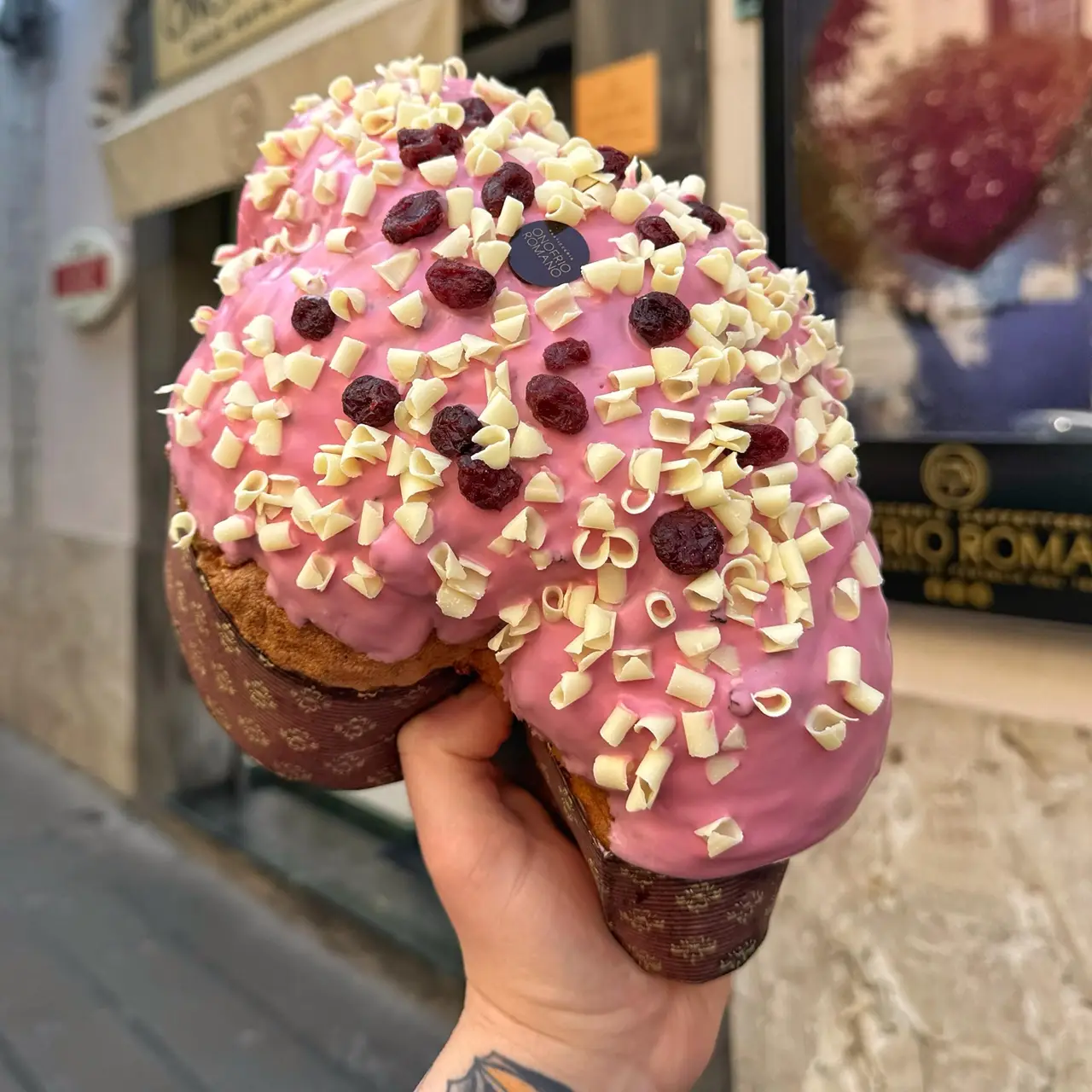 AMORE SELVATICO - COLOMBA